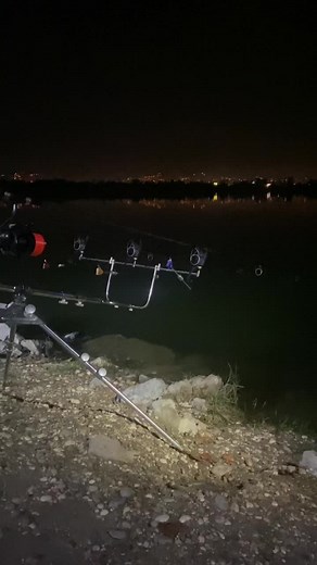 #run #carp #carpfishing #pescuit #pescuitsportiv #pescuitlacrap #bigfish #fyp #viral #dudibaits