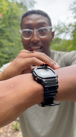 One of the most painful stings in the Southeast…the “Cow Killer” or Red Velvet Ant! They’re actually a species of wasp not ants! 🐜🐄🐜🐄🐜🐄🐜🐄🐜🐄 #wildlife #nature #instagramreels #naturephotography #wildlifeplanet #animals #wildlifewarriors #wildlifephoto #wild #animal #naturelovers #wildlifeonearth #steveirwin #wildlifeofinstagram #wildlifeconservation #wildlifeperfection #insect #reels #wildlifeaddicts #turtle #savetheturtles #natgeo #turtles #snakesofinstagram #turtles #conservation #mac