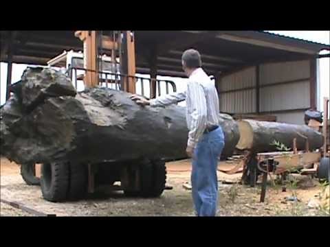 Old River Sawmill Reclaims 1828 City Mills Dam Timber.wmv