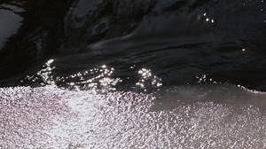 Lake in the nature | Free Stock Video Footage