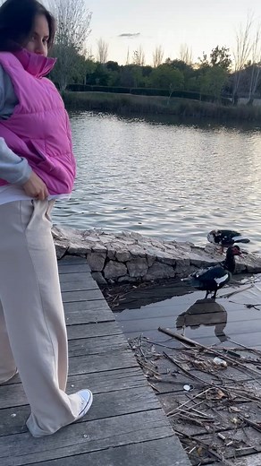 62K views · 311 reactions | what the duck was she thinking?  #ducks #fail #shorts #reels | FailArmy | Facebook
