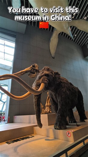 The most fascinating museum in Shanghai 🦖✨ #shorts