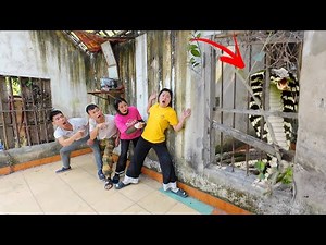4 experts caught a king cobra with their bare hands in an abandoned house