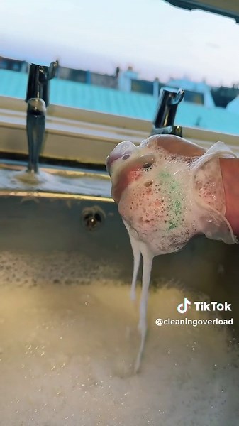 Bleachy sponge squeeze 🤩🤩 A collaboration with @cleanwithmeg couldnt think of a better way to come back to cleantok #cleaningtiktok #spongesqueezes #bleach