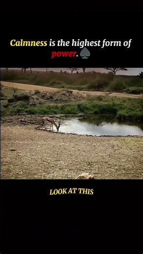 The Most Disrespectful Escape Ever ⚡