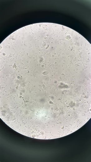 Understanding Microscopic Examination Techniques