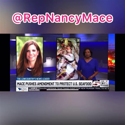 9.2K views · 771 reactions | No imports on our plates. We stand with American shrimpers and the men and women who serve in uniform. | Congresswoman Nancy Mace | Facebook