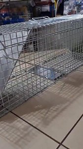 166K views · 1.2K reactions | Agouti traps with trap doors on both sides in stock @ Show Thanks! 769-7646/392-4184 | FISHY Bizniz FARM | Facebook