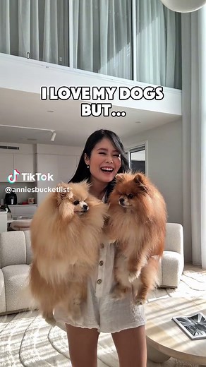 Roborock Saros 10: The Ultimate Robot Vacuum for Pet Owners