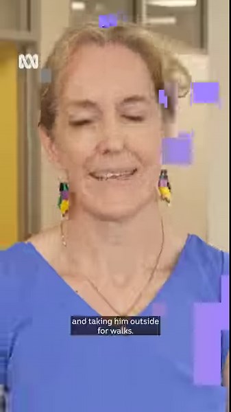 5.4K views · 41 reactions | You've heard of therapy dogs but have you...