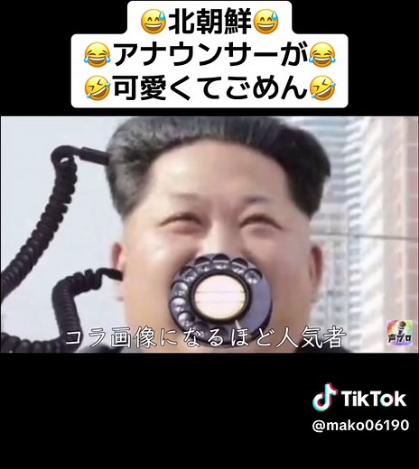 可愛くてごめん北朝鮮のアナウンサー