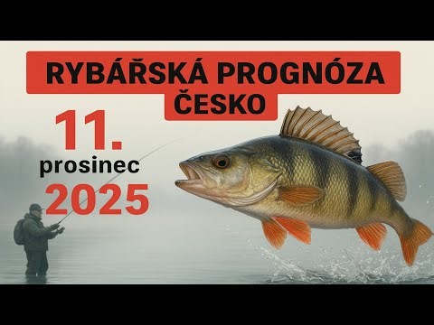 PROGNOZA KLEVÁ v České republice na 11. prosince 2025. Hoďte všechno a na ryby!
