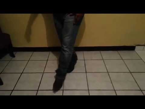 Bailando Huapangos Norteño (PASOS BASICOS)