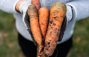 786K views · 1.3K shares | This isn't necessarily a how-to video....