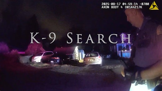 13K views · 149 reactions | On Patrol: K-9 Search | Kitsap County Sheriff's Office | Facebook