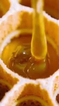 🐝 How Bees Make Honey 🍯 | Amazing Honey Bee Process for Kids