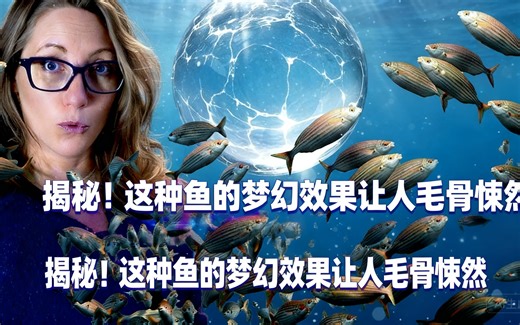 [中配]揭秘！这种鱼的梦幻效果让人毛骨悚然 - KPassionate