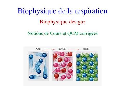 Gas biophysics, course summary and corrected MCQs