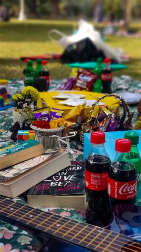 Sania on Instagram: "Picnic day! Golden week diaries"