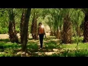 Robert Plant - Morning Dew (2002) | IMVDb