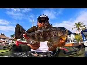 FLOAT TUBE: Very stealth way to fish for Spotted Bay Bass