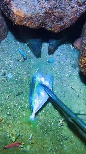 Exploring Deep Sea Fishing Techniques and Tips