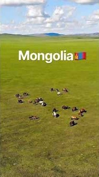 Mongolia: The Country Where People Live in the Wild 🇲🇳 #shortsvideo