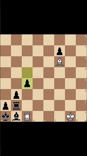 Rook & Bishop vs Rook & Bishop Endgame: Who Actually Wins?