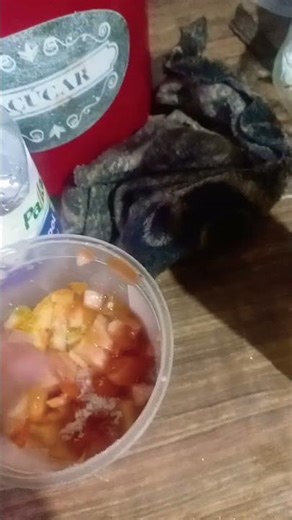 8 de dezembro de 2025