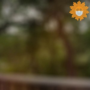 Christopher Cross on his near-fatal COVID illness