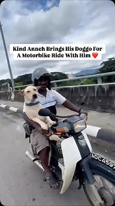 109K views · 29K reactions | This sweet doggo is right where he needs to be, enjoying a motorbike ride with his loving pawrent. 殺 We hope they both had a safe journey!  Video via: krishnan8890/TikTok . . . #myforeverdoggo #dogsofmalaysia #rescuedogsofinstagram #adoptdontshop #bekindtoanimals #loveallbeings | My Forever Doggo | Facebook