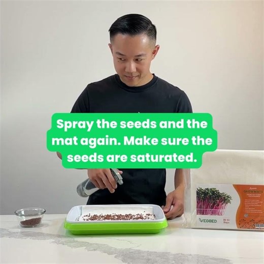 How To Grow Microgreens Without Soil! (in 30 secs) #microgreens #hydroponics #indoorgardening