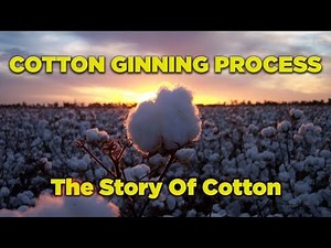 Cotton Ginning Process - The Story of Cotton