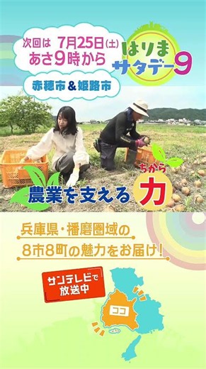 【はりまサタデー９】心と体をととのえる「あこうミネラルツーリズム」／姫路市アグリヘルパー🥬🥕農業を支える力に！🧅