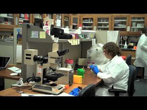 What is Bioinformatics and Computational Biology?