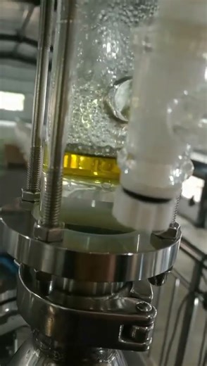 Salvia Rosmarinus Oil Extraction Equipment Essential Oil Output Yield