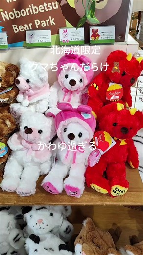 地元民も楽しめる！のぼりべつ！と言えばクマ牧場！ ロープウェイ入口のクマちゃんが可愛い過ぎて全部欲しくなりました🧸 #北海道#温泉 #登別クマ牧場#ぬいぐるみ #可愛い