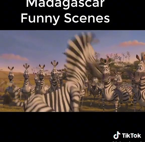 Madagascar Funny Scenes 😎😎😎 Kids Movies 😁😁😂 part 2 😘 #madagascar #kidsmovies #fyp #cartoon #2023
