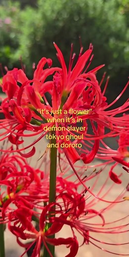 Exploring Red Spider Lilies in Demon Slayer and Tokyo Ghoul