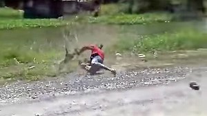 Watch Man Fight a Monkey for His Motorcycle