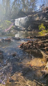 17K views · 819 reactions | Experience a quick #WonderMoment in...