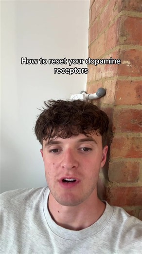 How to Reset Your Dopamine Receptors: Practical Steps for Students