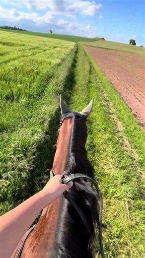 ່ (@a.crazy.girl)’s videos with Lenas Ranch Song - lenas ranch edits