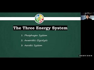 PE & Health 11 LESSON 2: The Energy Systems
