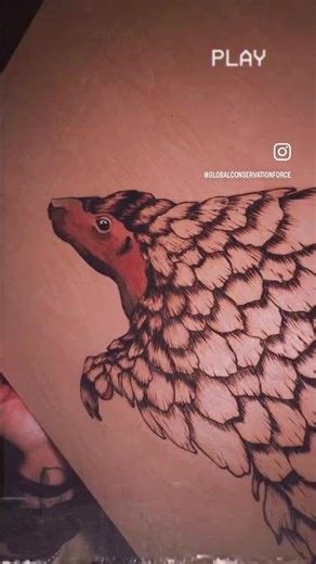World Pangolin Day Art!