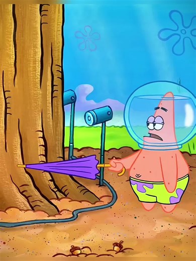 Sandy's Quest to Save the Oak Tree