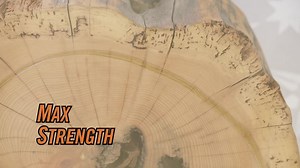 Gorilla 9 oz. Max Strength Construction Adhesive Clear 8212302