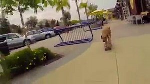 O(∩_∩)O | Trendy Gadgets