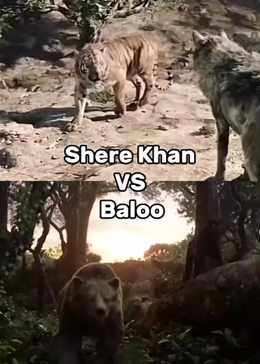 Shere Khan VS Baloo Fight: Who Would Win? | Epic Battle Scene