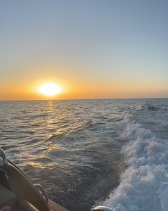 11K views · 12 reactions | Diana Vickers on Reels | Facebook